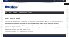 Desktop Screenshot of businessconsultant.net